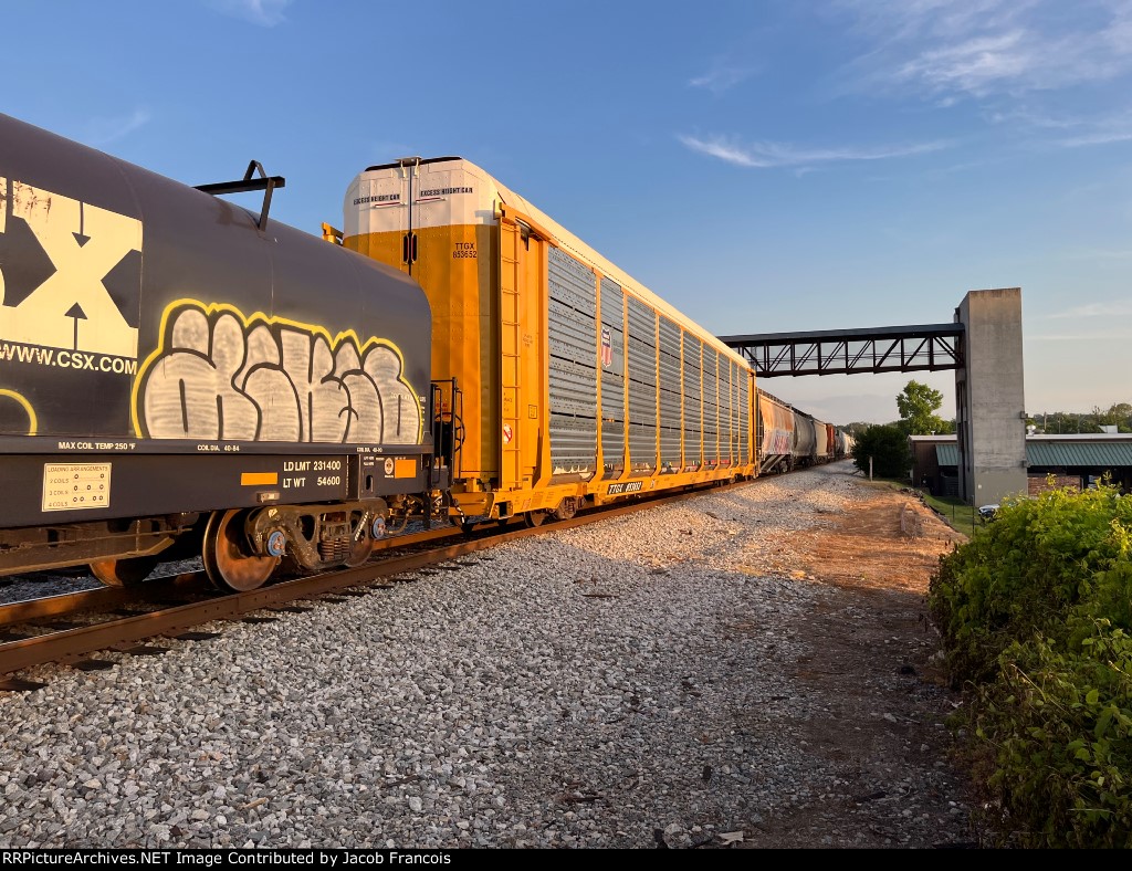TTGX 853652